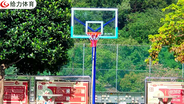 江門學?；@球架