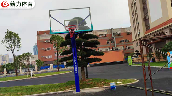 學?；@球架廠家